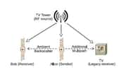 Ce schéma illustre le principe de fonctionnement de la rétrodiffusion ambiante (ambiant backscatter). Le relais TV (TV Tower) émet des signaux radio qui sont captés par les étiquettes électroniques. Sur cet exemple, l’étiquette « Alice » est le transmetteur (sender). Elle récupère le signal RF grâce auquel elle s’alimente et peut envoyer des informations à l’étiquette Bob (receiver). Le tout fonctionne sans perturber le signal envoyé aux téléviseurs (Legacy receiver). © University of Washington