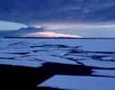 Marques du réchauffement climatique dans les lacs de l'Arctique