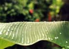 &copy; Caroline LepageL'eau, l'air, la nature... Les préserver tient autant de la responsabilité pour les générations de demain que de l'obligation pour notre bien-être aujourd'hui !