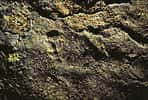 Ces traces laissées par des pas humains dans la grotte Chauvet, initialement datées de 31 000 ou 32 000 ans, pourraient en réalité accuser 4000 ans de plus