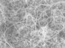 Nanotubes vus au microscope