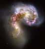 Hubble nous avait habitués à la perfection. Tout simplement. (NGC4038-4039 Antennae Galaxies) Crédit NASA/JPL/Hubble Heritage.