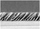 Au microscope électronique, on distingue les minuscules baguettes de silicium inclinées à 45°. Crédit : Fred Schubert / Rensselaer Polytechnic Institute