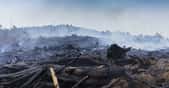 Le CO2 émis par les incendies en Australie voyagera tout autour de la planète et participera à l’établissement de nouveaux records de concentration atmosphérique. © jamenpercy, Adobe Stock