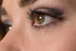 Les larmes sont essentiellement constituées d’eau, mais aussi de sels minéraux, de sel, de protéines,&nbsp;d’antiseptiques, etc. © Chris Collins, Shutterstock