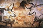 Peintures de taureaux dans la grotte de Lascaux. Crédit : Prof saxx (domaine public)