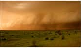 Certains orages forment parfois un front pouvant s'étendre latéralement sur des centaines de kilomètres. Ils produisent alors une ligne de grains. © Françoise Guichard et Laurent Kergoat/CNRS 