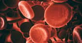 Tous les éléments du sang peuvent être malades. Ici, des globules rouges.&nbsp;© Jezper, Shutterstock