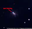 La supernova SN 2002bj observée en 2002. Crédit : Poznanski-www.berkeley.edu
