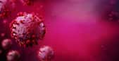 Vous avez peut-être déjà des anticorps sans le savoir. © Production Perig, Adobe Stock