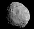Phobos ressemble aux météorites à chondrites carbonées que l’on sait provenir des régions les plus éloignées de la ceinture d’astéroïdes. Ce qui laisse à penser qu'il ne s'est pas formé en même temps que Mars ni à partir des mêmes matériaux. Crédits Esa / DLR/ FU Berlin (G. Neukum)