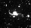 Cette image optique du SDSS J1254 0846 obtenue en 2009 grâce au télescope Baade-Magellan de l'Observatoire de Las Campanas au Chili montre les deux noyaux des quasars ainsi que les trainées de marée accompagnant la fusion des galaxies hôtes. La barre représente 10 secondes d'arc. Crédit : Carnegie Institution