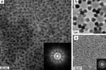 Des nanoparticules s'assemblent pour former des structures semblables à celles des quasi-cristaux. La croissance d'une telle structure irrégulière s'opère nécessairement différemment de celle d'un vrai cristal. © Dmitri Talapin/University of Chicago