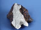 Météorite ferreuse trouvée à Rancho Gomelia, Mexique. C'est une octahedrite composée d'un alliage de  nickel et de fer. Le test à l'acide révèlant la structure dite Widmanstätten est bien visible (taille d'environ 14 cm ). Crédit : D. Ball, ASU