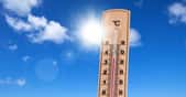 Au niveau des températures, les records tombent les uns après les autres. © Jenny Sturm, Adobe Stock