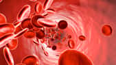 Un nouveau composant du sang a été découvert par une équipe de l'Inserm à Montpellier. © Spectral Design, Fotolia