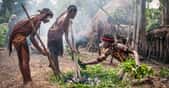Les Papous forment un peuple de chasseurs-cueilleurs habitant l'île de Nouvelle-Guinée. © Byelikova Oksana, Shutterstock