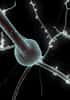 Un processeur peut simuler le comportement d'un neurone. Mais le cerveau humain en contient sans doute environ 1011 et le nombre de connexions (ou synapses) est – vaguement – estimé à 1014 ou 1015... © EFPL /Human Brain Project