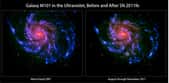 La galaxie spirale M101 observée en 2007 à gauche et en novembre 2011 à droite. La supernova SN 211 fe est visible en ultraviolet sous la forme d'une seule source ponctuelle. © Nasa/Swift/Peter Brown, Univ. of Utah