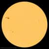 La spectaculaire tache solaire AR 1339 photographiée par le satellite Soho le 4 novembre. © Nasa/Soho 