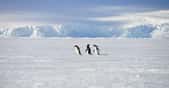 L’Antarctique cache encore des secrets. Une récente étude en fait la preuve. Elle montre qu’au cœur du continent, une mystérieuse source chaude fait fondre la glace. © vormenmedia, Fotolia