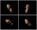 Les différentes faces de l'astéroïde 4179 Toutatis reconstituées à partir des données radar acquises lors des précédents rapprochements avec la Terre. Le 12 décembre, il sera au plus près de la Terre, soit 20 plus éloigné de nous que la Lune. © Nasa, JPL