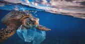 Une nouvelle étude révèle la quantité folle de plastique présente dans nos océans. Une quantité en brutale augmentation depuis 2005. © willyam, Adobe Stock