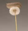 Une image étonnante réalisée sans trucage : un morceau de métal porté par une fleur de pissenlit. © Dan Little, HRL Laboratories LLC