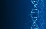 Le séquençage et l’analyse de l’ADN ont énormément progressé ces dernières années et sont aussi beaucoup plus abordables. © Sipgus, Fotolia