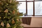 Quelles sont ces astuces qui permettent au sapin de Noël de conserver ses aiguilles plus longtemps ? © leravalera89, Adobe Stock