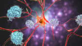 Les tests de laboratoire ont montré une diminution des niveaux de protéines neurotoxiques dans les cellules cérébrales de patients atteints par la maladie d'Alzheimer ayant utilisé du viagra. © Dr_Microbe, Adobe Stock