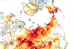 Canicules et incendies en Arctique au cours de l'été 2020. © Nasa, EarthObservatory