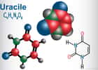 L’uracile est une base pyrimidique avec un noyau aromatique. © bacsica, Fotolia