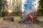 Interdiction de brûler les déchets verts ramassés au jardin. © stefanholm, Adobe Stock