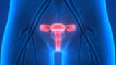 Le syndrome des ovaires polykystiques touche une femme sur dix. © magicmine, Fotolia