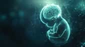 Le développement du cerveau du foetus peut être influencé par des événements climatiques extrêmes vécus pendant la grossesse, avec des impacts notamment sur l’émotion et la cognition. © Chayanin Wongpracha, Adobe Stock (image générée avec IA)