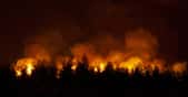 L'été 2021 a été marqué de nombreux feux de forêts hors de contrôle dans l'hémisphère nord. La Californie continue d'être menacée par les flammes. © pandpstock001, Adobe Stock