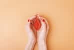 Les femmes sont-elles forcément soit clitoridiennes, soit vaginales ? © Mikhaylovskiy, Adobe stock