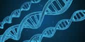 Illustration d'une molécule d'ADN. © Arek Socha, Pixabay