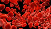 La coagulation du sang permet de limiter les hémorragies. © Design Cells, Fotolia