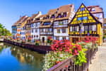 L'Alsace fait partie des zones qui se réchauffent le plus vite en France. © Carmen, Adobe Stock