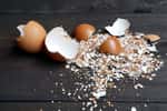 Les coquilles d'œufs recyclées intéressent les industries de la cosmétique, de l’alimentation animale ou encore des compléments alimentaires. © Jovinko, Adobe Stock