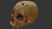 Lors d'une fouille archéologique en Islande, un crâne a révélé des traces de la syphilis. © Sketchfab, Creative Commons license, CC0, domaine public