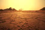 Le désert du Namib, dans le sud-ouest de la Namibie. © Galyna Andrushko, Adobe Stock