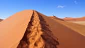 Le Sossusvlei est un désert de sel et d’argile situé dans le Parc national de Namib-Naukluft, dans le désert de Namib, en Namibie. Là se dressent de majestueuses dunes qui culminent à plus de 375 mètres de haut, leur permettant de figurer au palmarès des plus hautes dunes du monde.Leur couleur rouge qui contraste si joliment avec le bleu du ciel local, elles la doivent à la présence dans leur sable de trioxyde de fer (Fe2O3). Du sable de grès érodés accumulé sur le site par des vents qui l’ont porté parfois sur des distances incroyables. Une partie viendrait même du désert du Kalahari.© Sue Kellerman, Flickr, CC by-NC 2.0