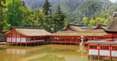 Le temple Itsukushima-jinja est situé non loin du fameux portique flottant de Miyajima. Avec ce dernier, le temple flottant est un incontournable de la région. Son architecture raffinée date de l'époque Heian, laquée de rouge vermillon comme le portique, contraste avec le bleu de l'eau lorsque la marée haute lui donne son aspect flottant.© Antoine,  Tous droits réservés