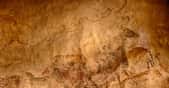 Une photo d'une reproduction de la Grotte de Lascaux. Il s'agit d'une partie du panneau dit de « La Grande Vache noire » dans la salle dite de « la Nef». La vache est en réalité un aurochs dont la taille sur la paroi est de 220 cm. © Randall Pugh, CC by-nc 2.0