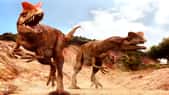 Dilophosaurus. Vous n’auriez jamais aimé croiser un Dilophosaurus. Vous auriez vu ce « lézard à deux crêtes » en Chine ou en Arizona au début du Jurassique, entre 205 et 185 millions d'années avant notre ère (ou dans Jurassic Park de Spielberg également). Il est très vraisemblable qu'il vous aurait tué à l'aide des griffes qu'il portait aux pattes avant et arrière. Vous n’auriez pas vraiment apprécié ! © Courtesy of Jon Hughes www.pixel-shack.com