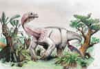 Le nouveau dinosaure découvert, Ledumahadi mafube, et son aspect probable reconstitué par un paléontologue paléoartiste. © Viktor Radermacher, University of the Witwatersrand