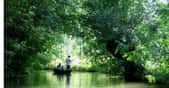 Promenade en barque dans le Marais Poitevin. © Gilbert Bochenek, Wikipedia, CC by-nc 1.0 